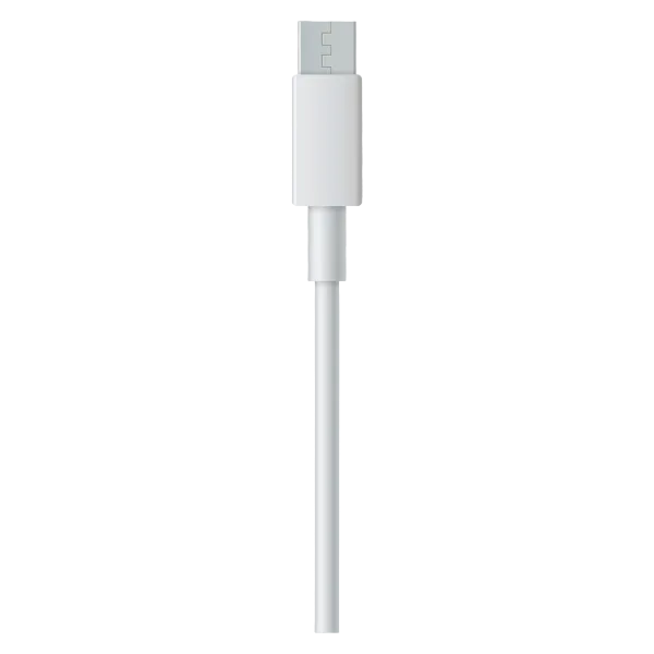 Fast Charger