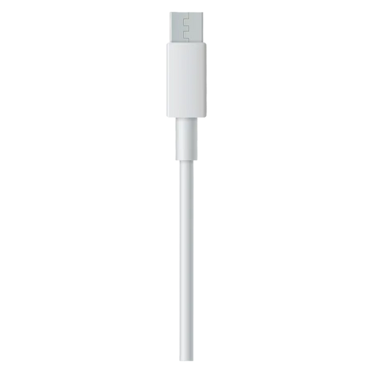 Fast Charger